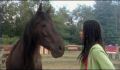 dr dolittle 3-avi_540.jpg